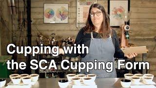 Cupping coffee with the SCA form