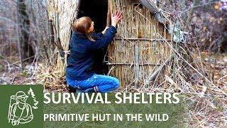  How to Make a Grass Hut in the Woods | Survival Shelters