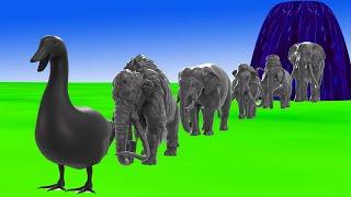 Paint & Animals Cow Gorilla Duck Lion Tiger Dinosaur Mammoth Animal Shadow Itself Crossing Fountain