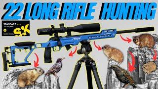 22 LONG RIFLE HUNTING FOR DASSIES I RIMFIRE PEST CONTROL IN AFRICA I CZ 457 RIMFIRE HUNTING