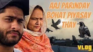 Aaj Parinday Bohat Piyasay Thay  #vlog