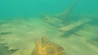 Exploring the Shipwreck Bermuda - Murray Bay