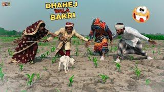 Dahej wala Bakri Totally Funny comedy video // Lovely fun nonstop