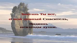 249 Если душа истомится