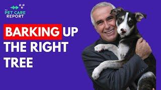 Barking Up The Right Tree - Dog Training 101 with Dr. Ian Dunbar