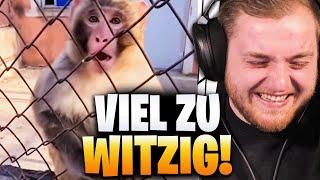 LACHFLASH bei UNUSUAL MEMES! Unmöglich nicht zu LACHEN...  | Trymacs Stream Highlights