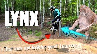 LYNX first impressions + Anatomy of a crash + V14 comes back from the dead !