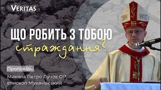 Що робить страждання з тобою? Проповідь: Микола Петро Лучок ОР, єпископ Мукачівський