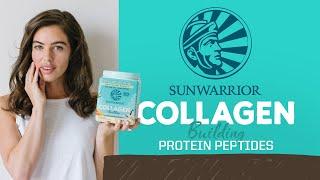 Plant Based Collagen Building Protein Peptides | Product | Sunwarrior