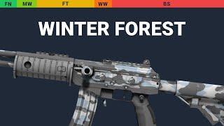 Galil AR Winter Forest - Skin Float And Wear Preview