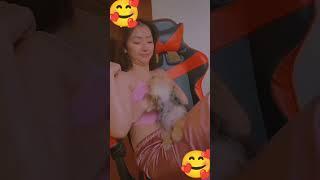 tante cantik lagi main sama anjing kesayangan nya #shortvideo #shortsfeed #shortsvideo