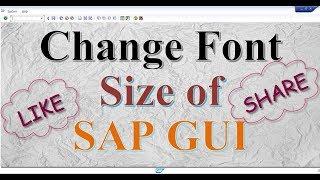 How to change font size in SAPGUI