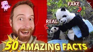 50 Amazing Facts You Won't Believe Are True