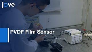 Dynamic Forces Measurement by PVDF Film Sensor | Protocol Preview