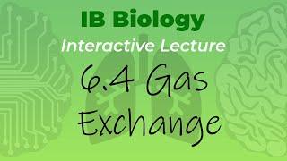 IB Biology 6.4 - Gas Exchange - Interactive Lecture