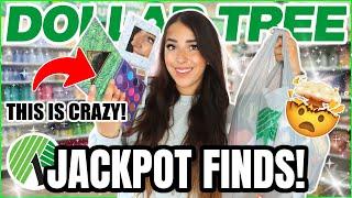 *JACKPOT* Dollar Tree Items that will leave you SPEECHLESS (New OCTOBER 2024 Items)