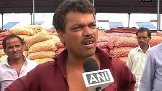 8,000 metric tonnes onion rotten in open air - ANI News