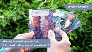 Jakie kwiaty można lub nawet należy wysiać w kwietniu?