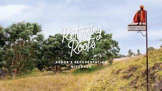 Returning Roots :: Arbor's Reforestation Giveback