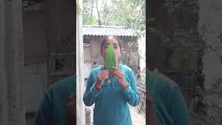 TASTY!THE MOST FUN POPSICLE IN!CHINIS FOOD EATING SHOWS #YOUTUBESHORTS #VIRAL #VIDEO #FUNNY