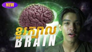 ខួរក្បាល / B R A I N