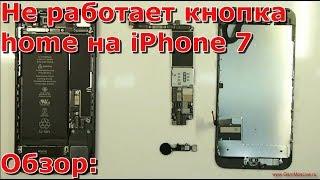 Часть 1 почему не работает кнопка Home iPhone 7, замена хоме, не работает touch id на айфоне 7