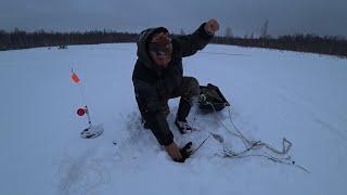 ЖЕРЛИЦЫ НА ОЗЕРЕ БЕЗ ПРИСМОТРА 48 ЧАСОВ, ЕДУ ПРОВЕРЯТЬ! С НОВЫМ ГОДОМ БРАТЬЯ РЫБАКИ И СЁСТРЫ РЫБАЧКИ