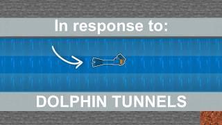 In response to Dolphin Tunnels