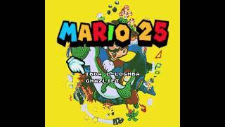 Mario 25: Maltese TurboGrafx 16 Bootleg - Game Over