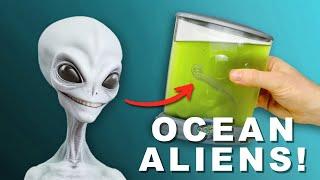 Amazing OCEAN ALIENS! | Unboxing & Review