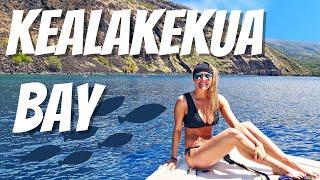 Top Snorkel Spots in Hawaii | Captain James Cook Monument | Snorkelling at Kealakekua Bay Big Island