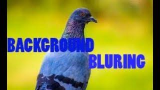 how to background blur tutorial in android phone (like dslr blur)