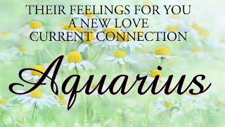 AQUARIUS love tarot ️ This Person Cares Aquarius They Want To Be In A Relationship With You