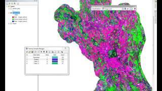 Training Sample [Tutorial ArcGIS]