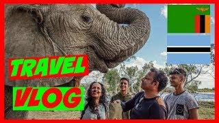 MY TRIP TO ZAMBIA & BOTSWANA! | Travel Vlog | MiniKrish