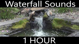 Garden Pond Ambience, Waterfall Sound Effect 1 HOUR