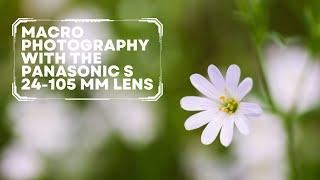 Is the Panasonic S 24-105 Lens Good for Macro Photography?