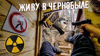 Ремонт дома под землей в Чернобыле. Волки рвутся в землянку. Картошка с грибами в печи