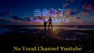 Dang Ni Lao Le ( 当你老了 ) Male Karaoke Mandarin - No Vocal