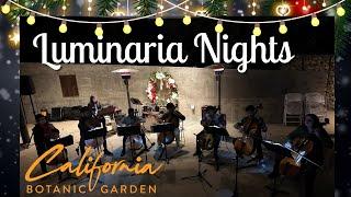 Luminaria Nights California Botanic Garden