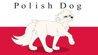[Country Dogs] Polish Dog || Meme