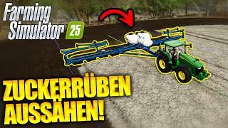 Neue Geräte für Zuckerrüben!| Farming Simulator 25