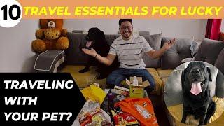 Traveling with Your dog | 10 Must-Have Essentials! #doglover #lucky