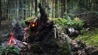 Building a secret shelter near a fallen tree. Bushcraft camp far from civilization. ASMR