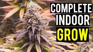 Seed To Harvest: A Complete Indoor Cannabis Grow