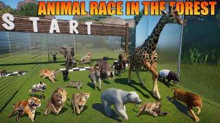 Carnivore VS Herbivore Animals Race in the Forest included Elephant, Lion, Ostrich, Giraffe & Hippo