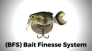 Should You Start Using Bait Finesse System (BFS)?