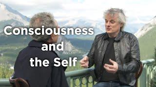 David Chalmers - Consciousness and the Self