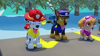 Heroic Hounds Tackle Tricky Terrain: A Paw Patrol Adventure | Crew Sun