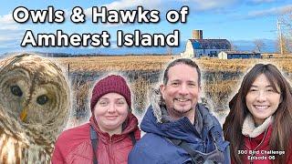 300 Bird Challenge The Owls of Amherst Island